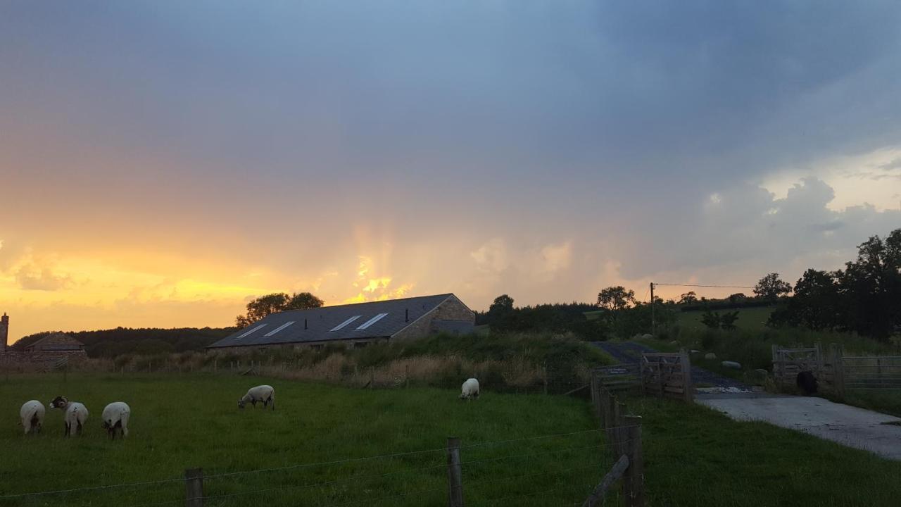 Keld Barn, Low Ploughlands Holiday Lets Kirkby Stephen Buitenkant foto